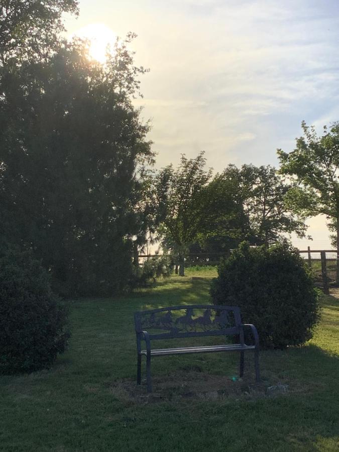Gîte vallée magique Panissaud Le Grand-Madieu Exterior foto